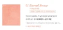 01.Eternal Breeze