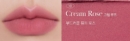 10.Cream Rose