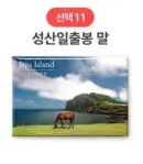 11 Seongsan Ilchulbong horse