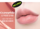 11.Gypsophila