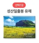 12 Seongsan Ilchulbong Rape Flower