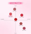 3CE Blur Water Tint 4.6g