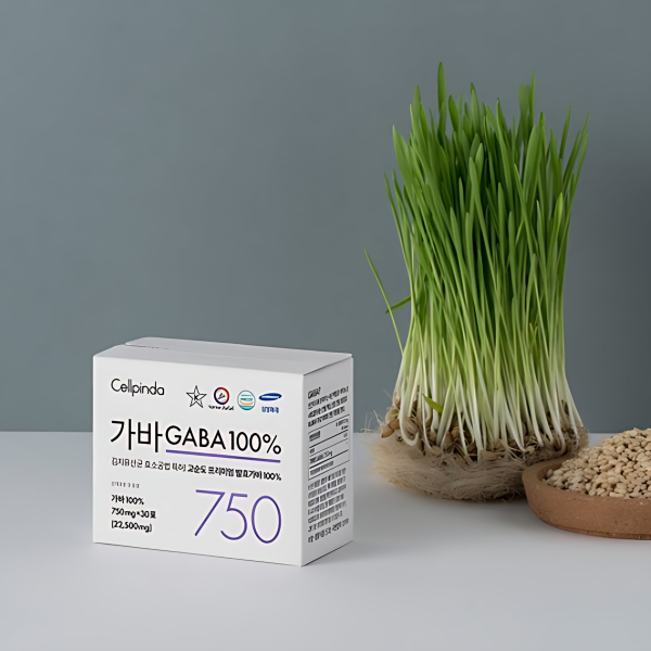 Cellpinda GABA 750mg 100% Kimchi Lactic Acid Bacteria 22.5g 30stick