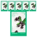 Acaiberry
