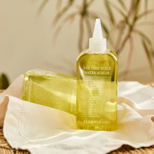 steambase Tea Tree Scalp Water Scaler 250ml - Alleviates Hair Loss Symptoms