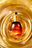 DONGINBI 1899 SIGNATURE Oil 15g