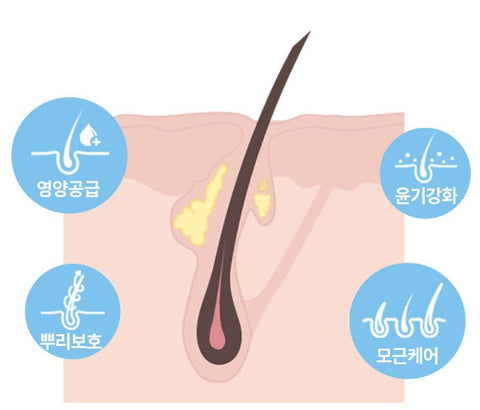 COSNORI LONG ACTIVE EYELASH SERUM 9G EmpressKorea Cosnory No. 1Eyelash Nutrition Supplement No.1 Hwahae Eye Makeup category N...