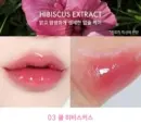 03.Cool Hibiscus