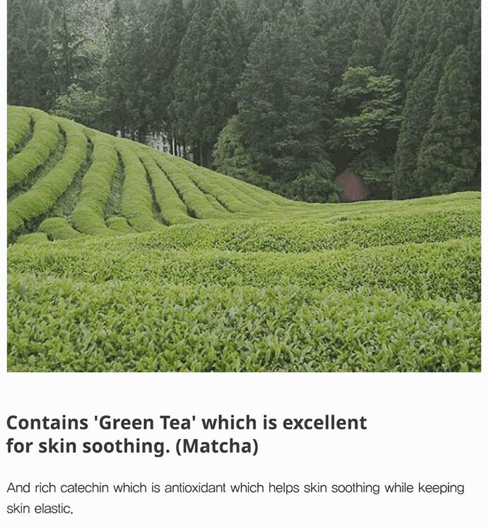 B-LAB Matcha Hydrating Real Sun Screen SPF 50+PA++++ 50ml - EmpressKorea