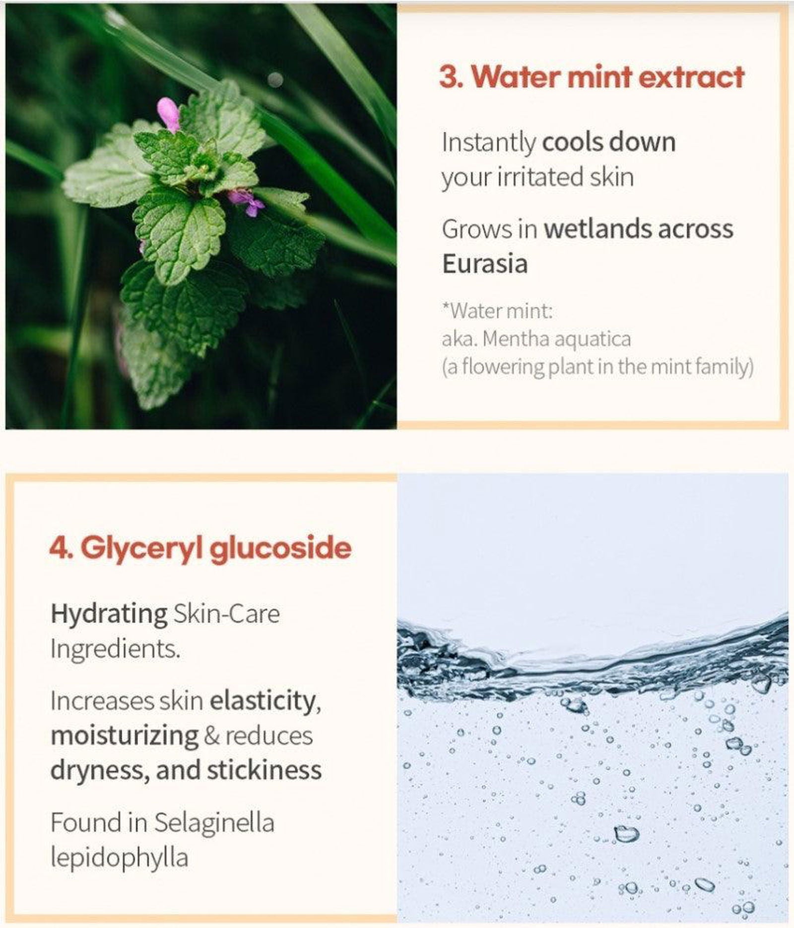 BE THE SKIN Sebum Zero Aloerice Vegan Sun Cream SPF 50+ PA++++ 50ml - EmpressKorea