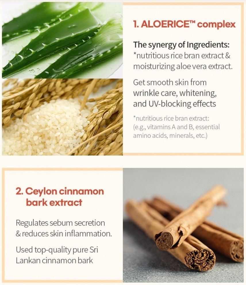 BE THE SKIN Sebum Zero Aloerice Vegan Sun Cream SPF 50+ PA++++ 50ml - EmpressKorea