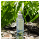 BORNTREE Like Sky Ice Collagen 93% Ampoule 50ml - EmpressKorea