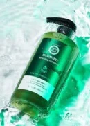 DAENG GI MEORI Mugwort Relaxing Shampoo 500ml - EmpressKorea