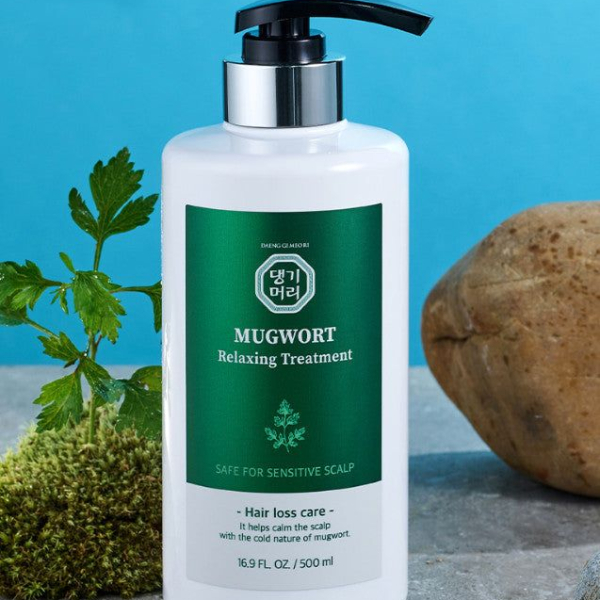 DAENG GI MEORI Mugwort Relaxing Treatment 500ml Hair Loss Care - EmpressKorea