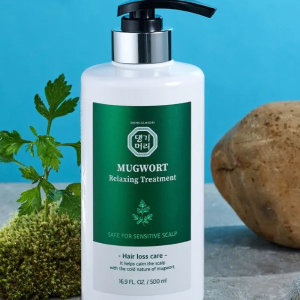 DAENG GI MEORI Mugwort Relaxing Treatment 500ml Hair Loss Care - EmpressKorea