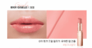 B101 GESELE
