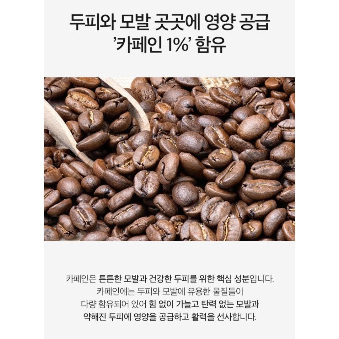 DERMA FACTORY Anti Hair Loss Shampoo 300ml *2pcs Beer Brewer's Yeast 41% Caffeine 1% Natural Active Ingredients Scalp Hair Care - EmpressKorea