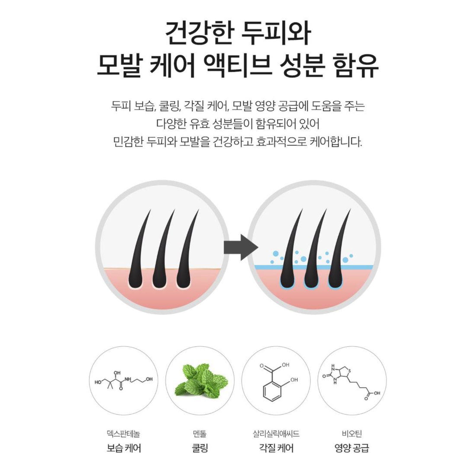 DERMA FACTORY Anti Hair Loss Shampoo 300ml *2pcs Beer Brewer's Yeast 41% Caffeine 1% Natural Active Ingredients Scalp Hair Care - EmpressKorea