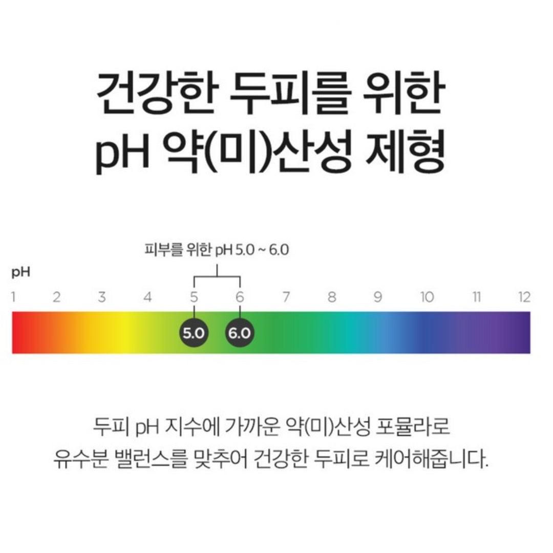 DERMA FACTORY Anti Hair Loss Shampoo 300ml *2pcs Beer Brewer's Yeast 41% Caffeine 1% Natural Active Ingredients Scalp Hair Care - EmpressKorea