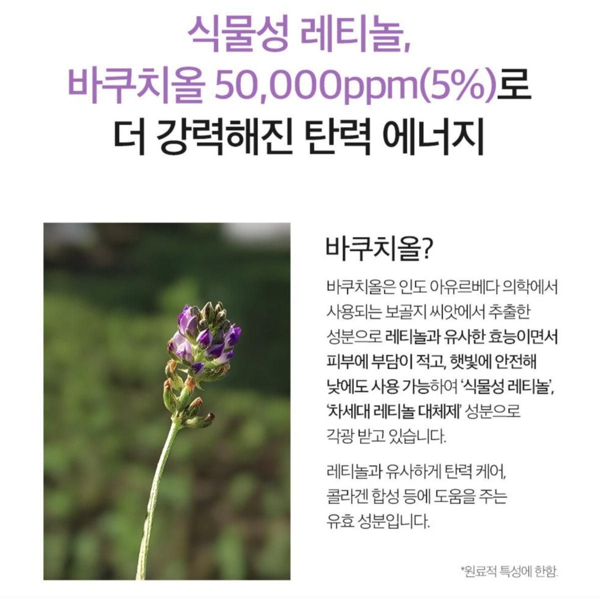 DERMA FACTORY Bakuchiol 5% Ampoule Skin Whitening Wrinkle Elasticity Nutrition 20ml - EmpressKorea