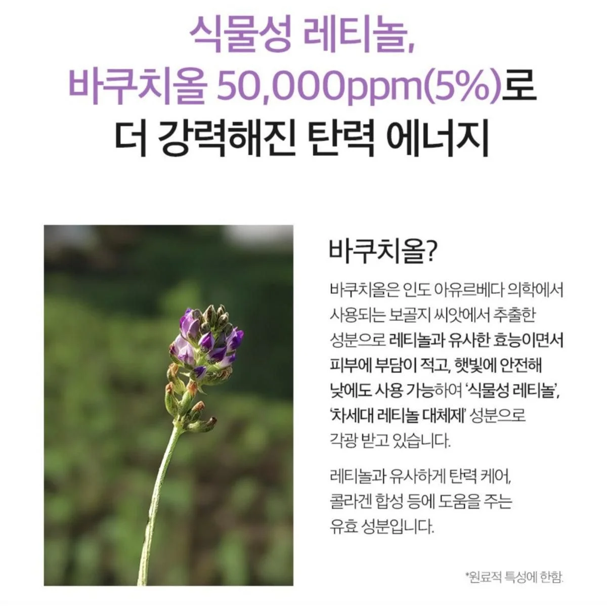 DERMA FACTORY Bakuchiol 5% Ampoule Skin Whitening Wrinkle Elasticity Nutrition 20ml - EmpressKorea