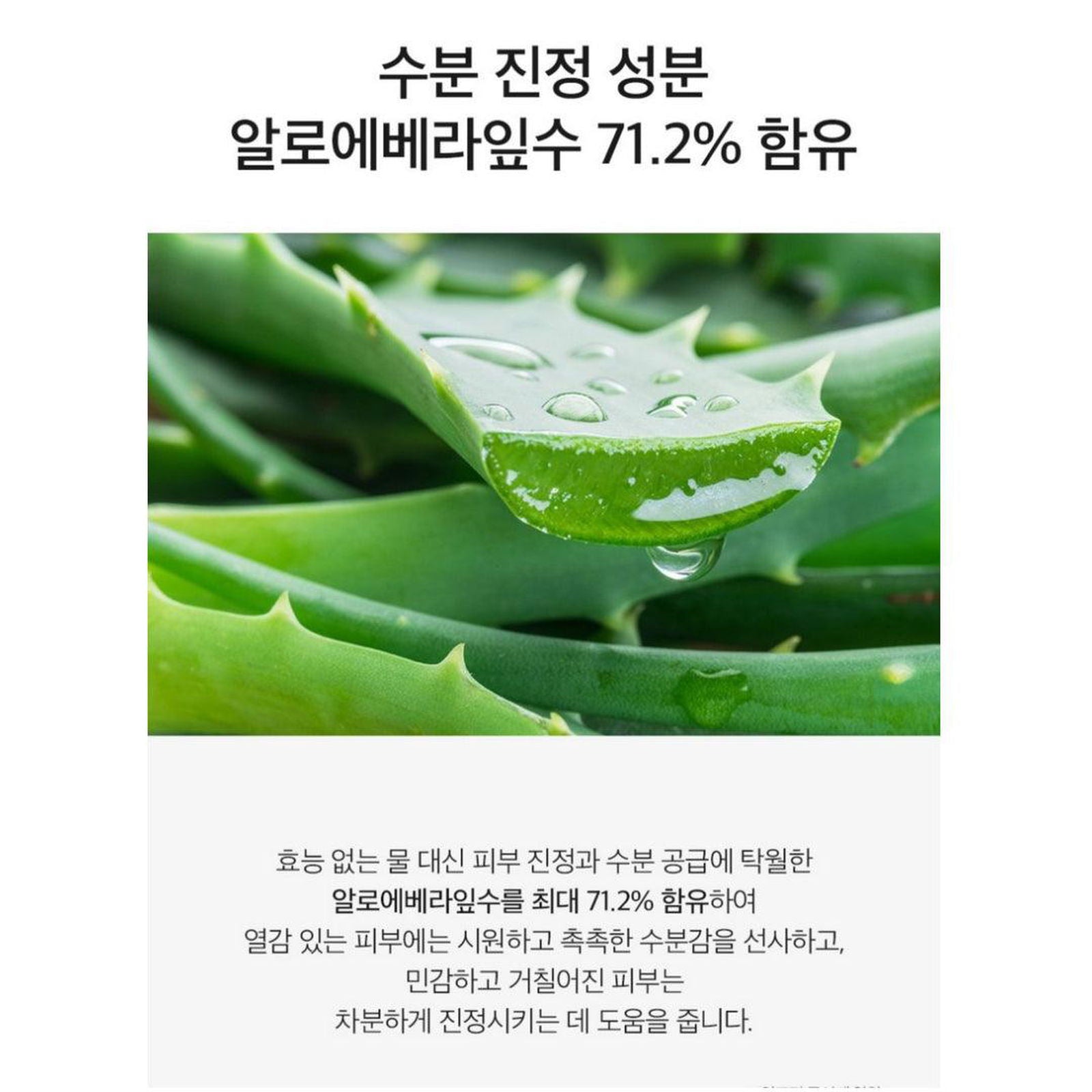 DERMA FACTORY Pore Clear Pad 140ml * 40 Sheets Pore Keratin Sebum Care Skin Texture Elasticity - EmpressKorea