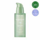 DEWYTREE Heartleaf 100 Serum 40ml - EmpressKorea