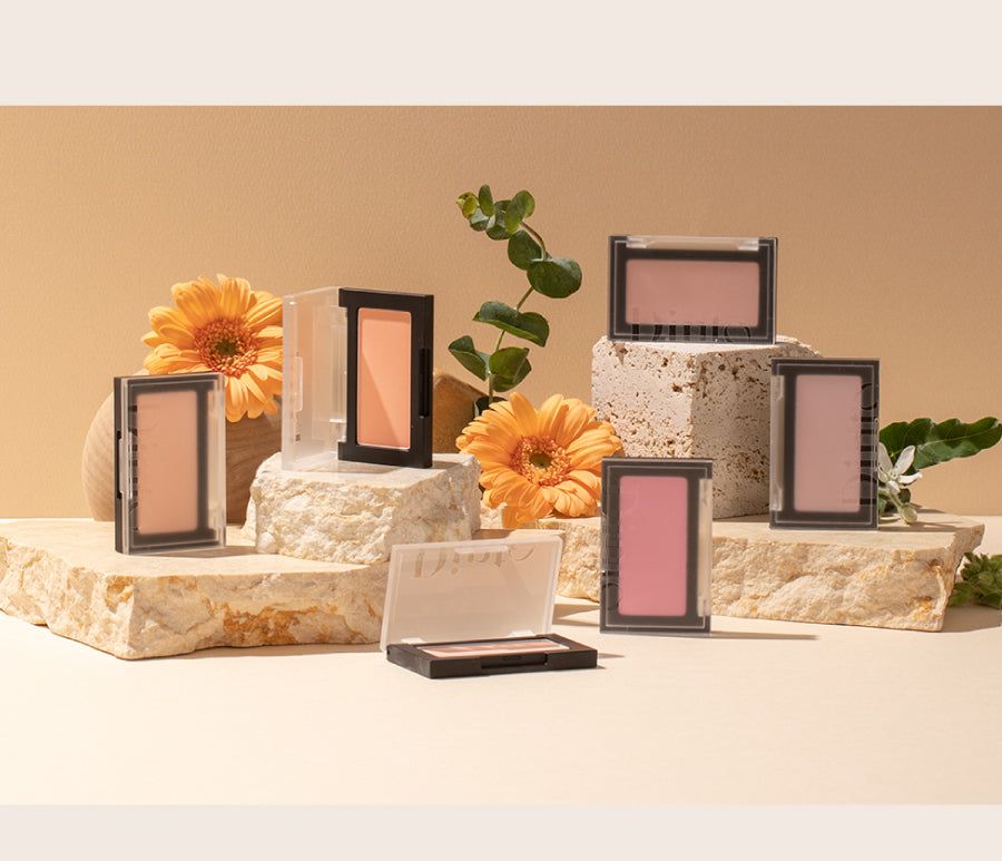Dinto All That Moments Blusher 8 Types - EmpressKorea