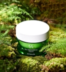 Dr.Ceuracle Tea Tree Purifine Cream 50g - EmpressKorea