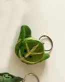 Cabbage