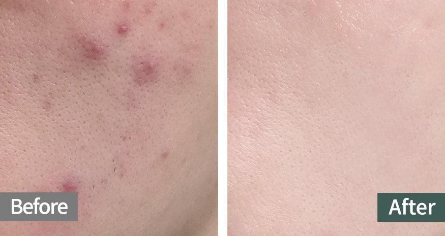 FLEEF Cica-Aloe Calming BB Cream No.23 SPF 50+ PA++++ 50ml - EmpressKorea