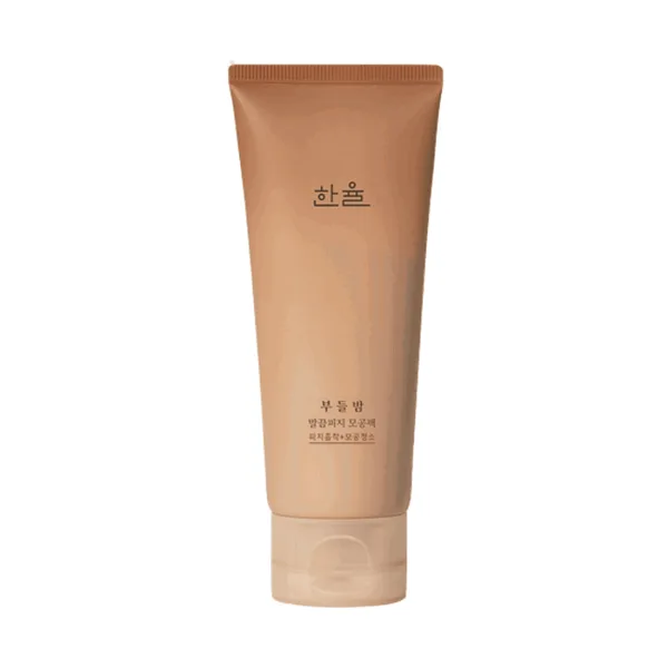 HANYUL Chestnut Shell Pore Clearing Clay Mask 100ml - EmpressKorea