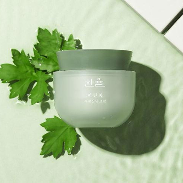 HANYUL Pure Artemisia Calming Water Cream 50ml - EmpressKorea