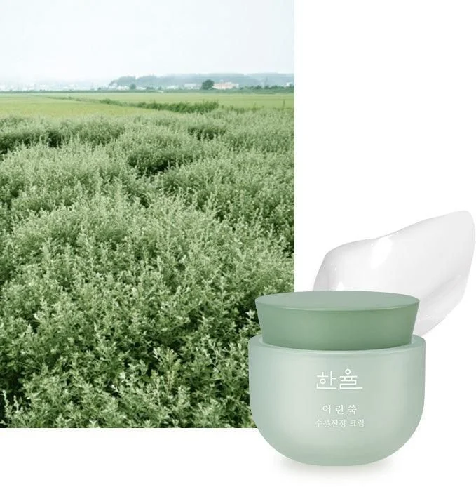HANYUL Pure Artemisia Calming Water Cream 50ml - EmpressKorea