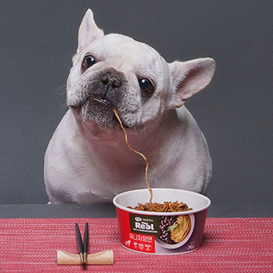 HARIM The Real Uni Jajangmyeon For Dog 70g*3ea - EmpressKorea