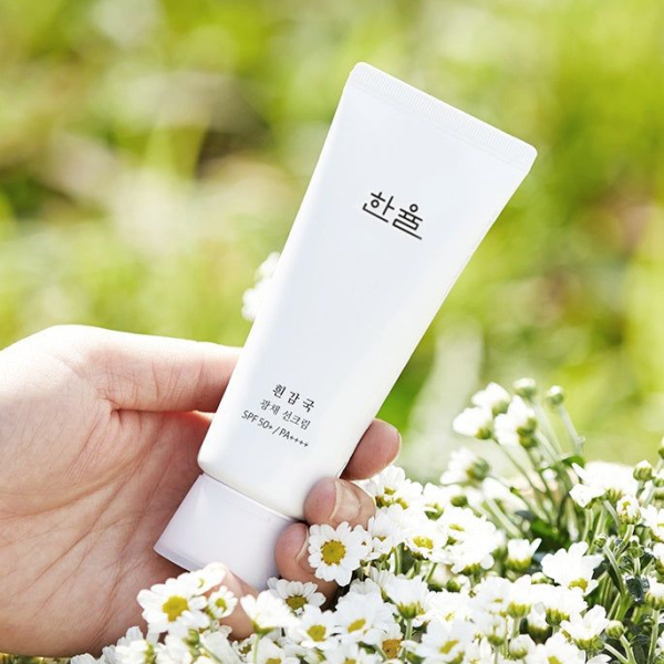 Hanyul White Chrysanthemum Radiance Sunscreen cream 70ml - EmpressKorea