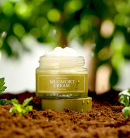 I'm from Mugwort Cream 50g - EmpressKorea