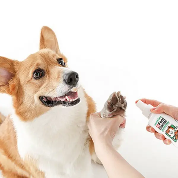 Laughing Charlie Soothing Foot Cleanser 150ml - EmpressKorea