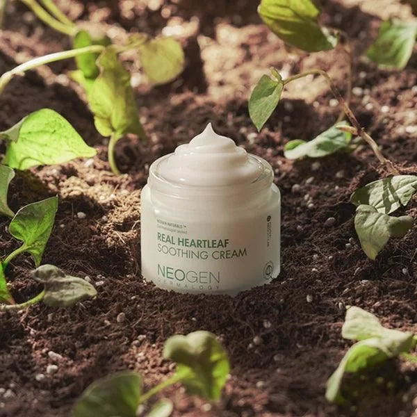 NEOGEN Real Heartleaf Soothing Cream 80g - EmpressKorea