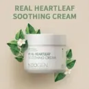 NEOGEN Real Heartleaf Soothing Cream 80g - EmpressKorea