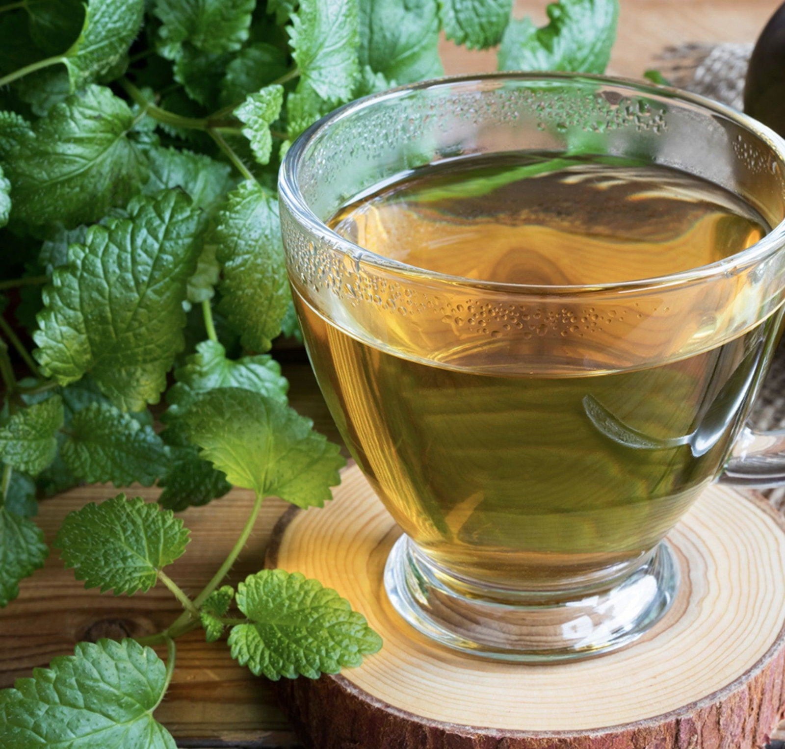 NOKCHAWON Lemon Balm Herbal Tea 60 Tea Bag Pyramid Tea Bag Large Capacity - EmpressKorea