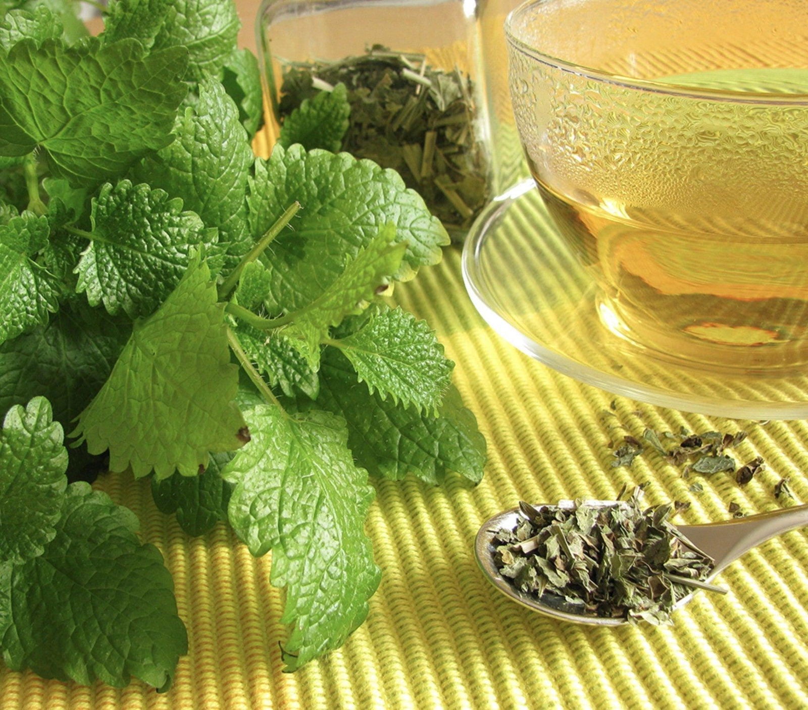 NOKCHAWON Lemon Balm Herbal Tea 60 Tea Bag Pyramid Tea Bag Large Capacity - EmpressKorea