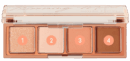 04 CORAL