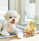 PETHROOM Dog Zero Waterless Shampoo 85ml - EmpressKorea