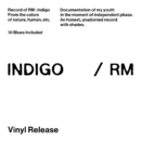 RM (BTS) - 1st Album: Indigo (LP) - EmpressKorea