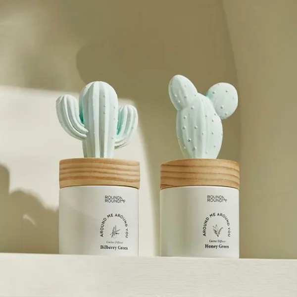ROUND A'ROUND Cactus Diffuser 100ml - EmpressKorea