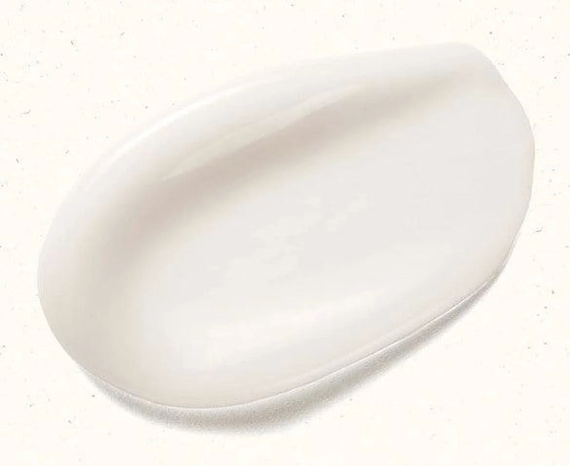 SKINFOOD Acorn Pore Peptide Cream 70ml - EmpressKorea