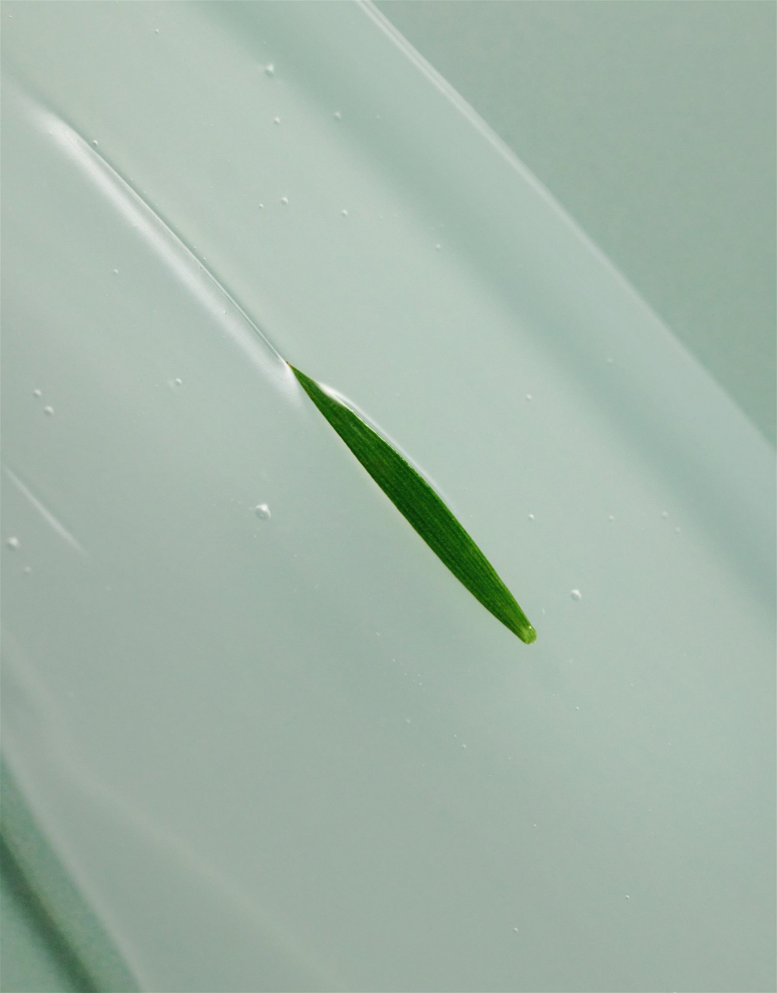 SOME BY MI AHA BHA PHA 14 Days Super Miracle Spot All Kill Cream 30ml - EmpressKorea