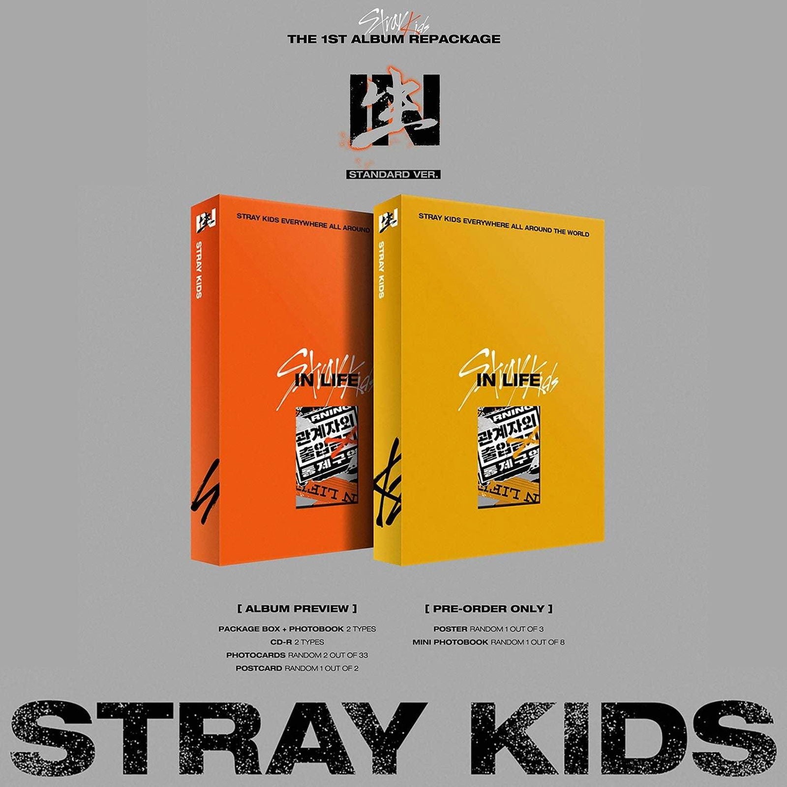 STRAY KIDS - 1st Official Album : IN生 (IN LIFE) Normal Ver. - EmpressKorea