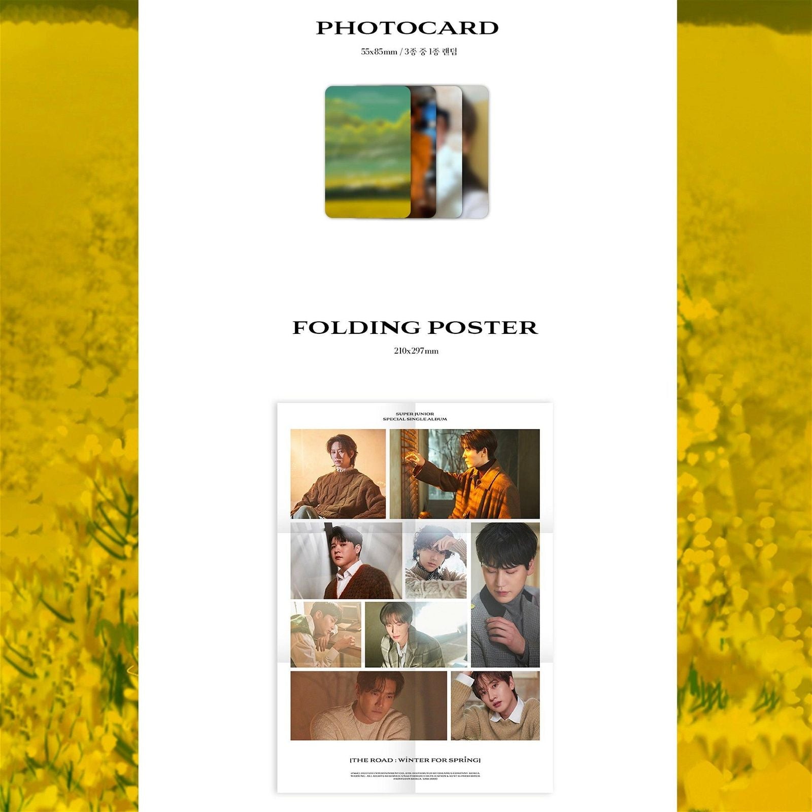 Super Junior - Special Single Album: The Road: Winter for Spring (Limited) - EmpressKorea